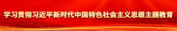 大鸡巴操婷学习贯彻习近平新时代中国特色社会主义思想主题教育